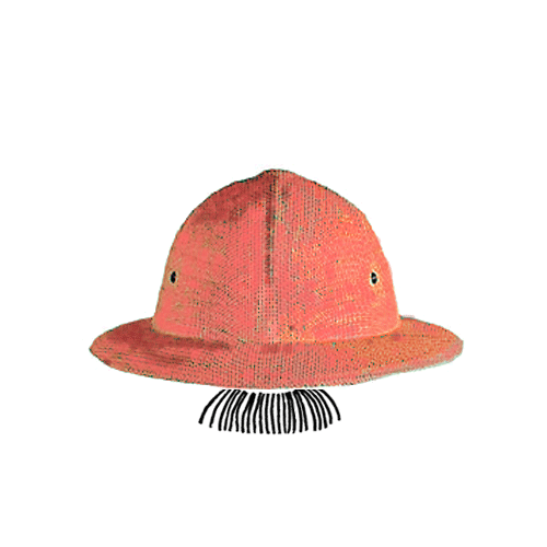 hat